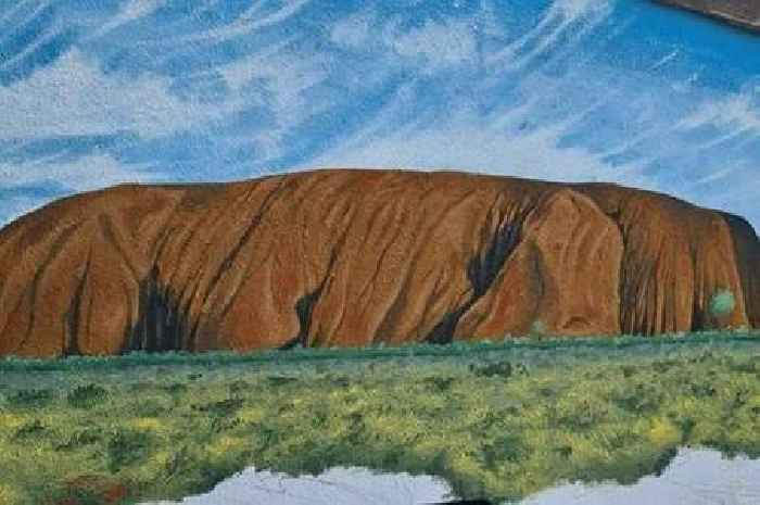 Neighbour of Kingswood murder says Uluru mural has helped her with trauma
