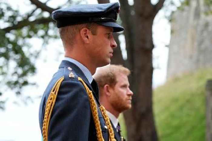 Harry and William's relationship 'irreparable' after Netflix series