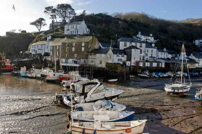 The Germans' love affair with Cornwall is all about the scenery and Rosamunde Pilcher's books
