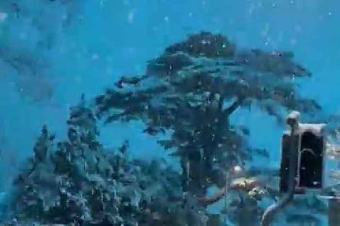 Essex snow: Video shows 'thundersnow' striking in Brentwood with streetlights then shutting off