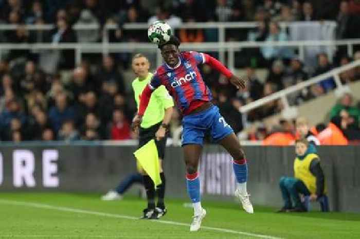 Swansea City transfer news as exciting Crystal Palace striker linked and boss refuses to rule out Wilfried Bony deal