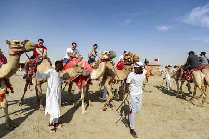 What is camel flu and what are the symptoms as fans return from World Cup in Qatar