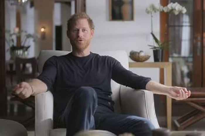 Prince Harry shows true feelings about William in telling Netflix moment