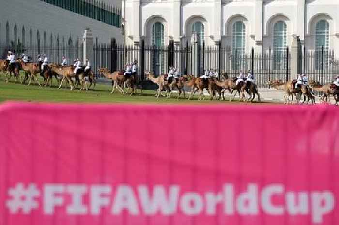Doctors warn of 'camel flu' returning with England fans from Qatar