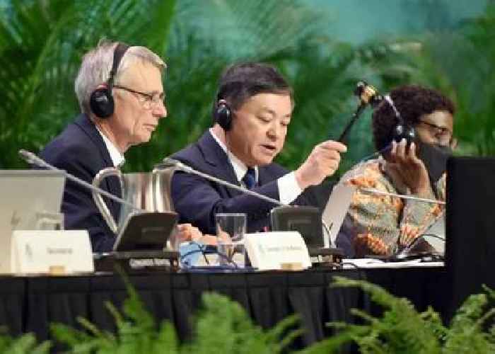 CGTN: Historic global biodiversity framework reached at COP15 with the active efforts of China