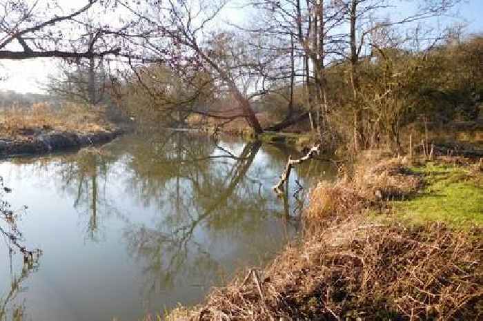 ‘Urgent action needed’ to tackle untreated sewage entering the River Frome
