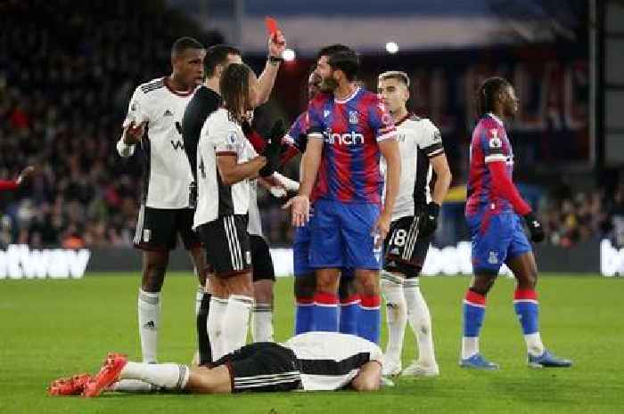 Roy Hodgson and Steve Sidwell's verdict on Crystal Palace red card decisions in Fulham defeat