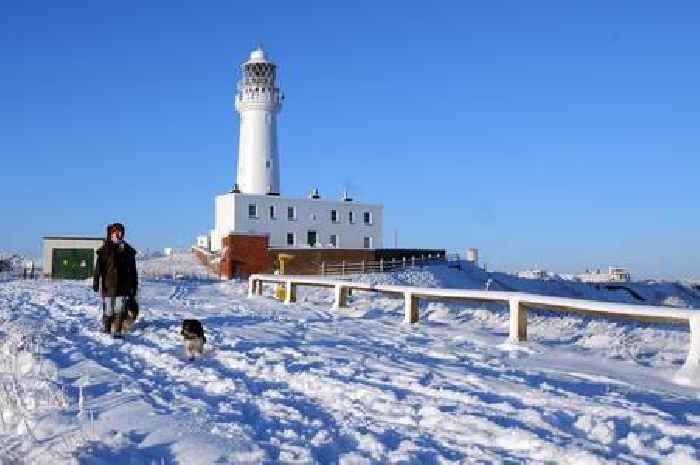 Best winter walks in Hull and East Yorkshire 2022, from a wood where a tank sank to a canal haven for wildlife