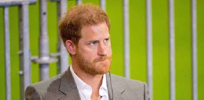 Prince Harry Allegedly Threw Fit After Elderly Man Asked For Photograph, Claims Book: 'He Stormed Off'