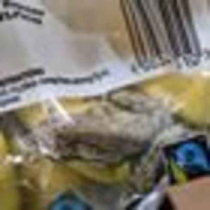 A snake in McDonald's and a frog hidden in bunch of bananas among RSPCA's 'weird' rescues of 2022