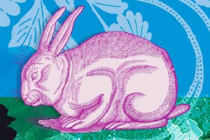 What Chinese Year of the Rabbit 2023 could bring for you depending on your zodiac