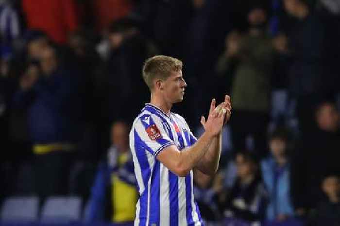 Cardiff City transfer news as Sheffield Wednesday 'fear' McGuinness recall and Aden Flint linked with Stoke City exit