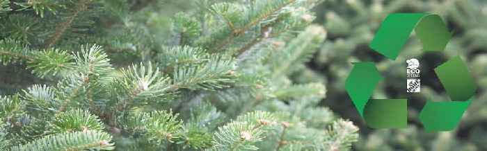 The Home Depot Shares the Benefits of Recycling Live Christmas Trees