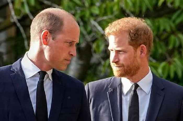 Prince Harry claims William branded Meghan 'rude and abrasive' in row