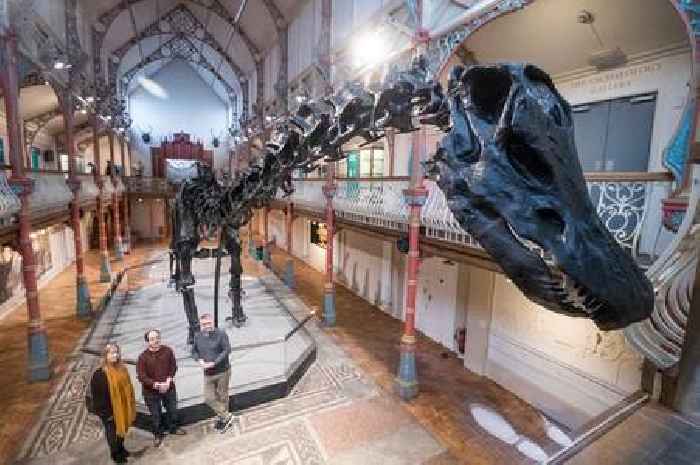 In pictures: Dippy the Diplodocus when he came to Birmingham