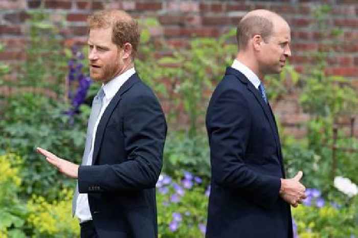 Prince William branded 'arch-nemesis' by brother Harry in new memoir