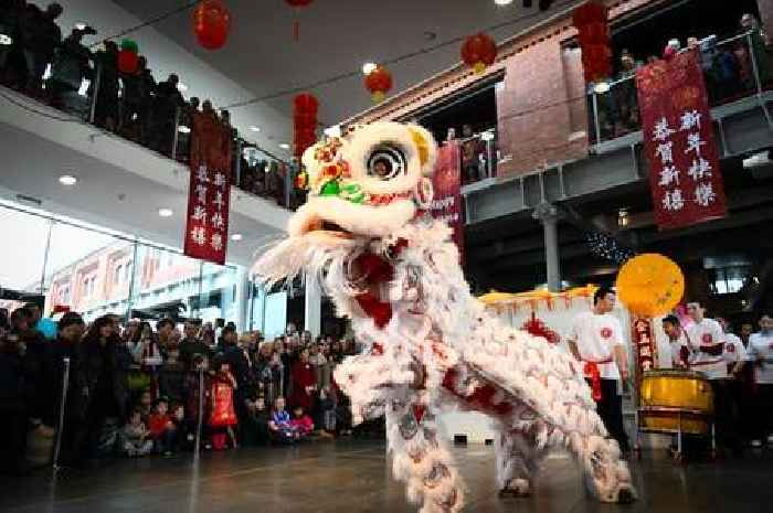 Chinese New Year 2023: The animal that represents your year of birth