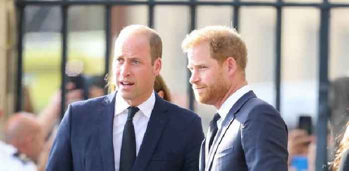 Prince Harry Feels Prince William No Longer Resembles Princess Diana, Takes Dig At Brother's 'Alarming' Hair Loss