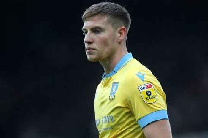 Cardiff City to recall Mark McGuinness from Sheffield Wednesday after Newcastle United FA Cup tie