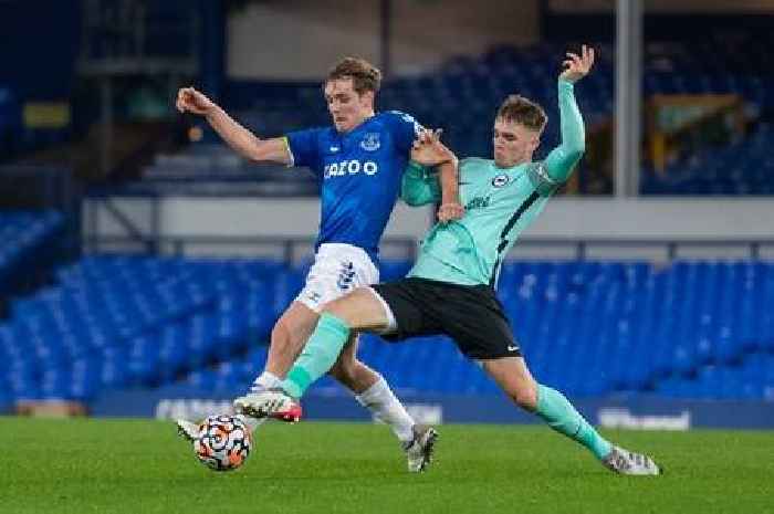 Swansea City transfer news as stance on Brighton starlet emerges and Martin reveals Whittaker plan with Plymouth waiting in wings