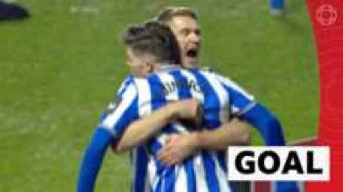 Windass gives Sheffield Wednesday lead over Newcastle