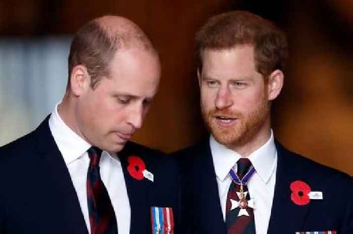 Prince Harry claims Prince William's resemblance to Diana has faded due to hair loss