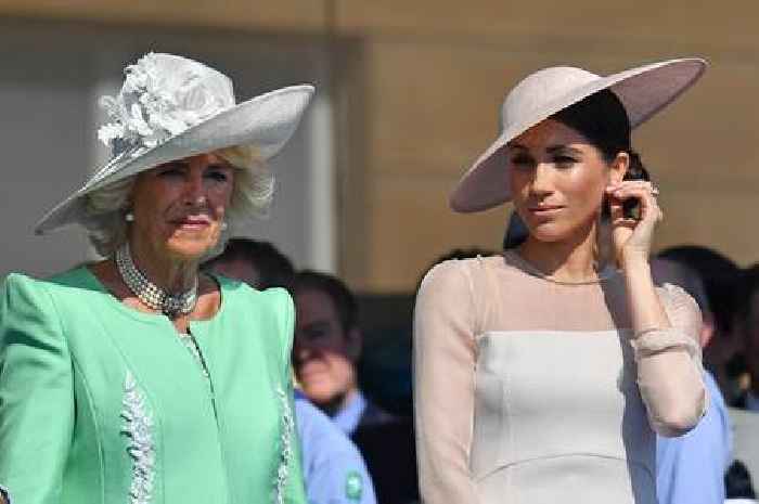 Harry calls Camilla 'the villain' and 'dangerous' and says her image rehabilitation 'left bodies in the street'