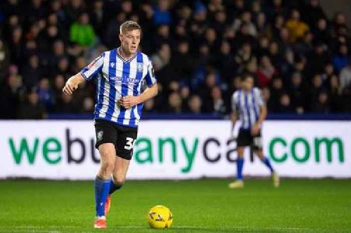Cardiff City await decision over Mark McGuinness' Sheffield Wednesday recall as managers reveal crucial 24 hours