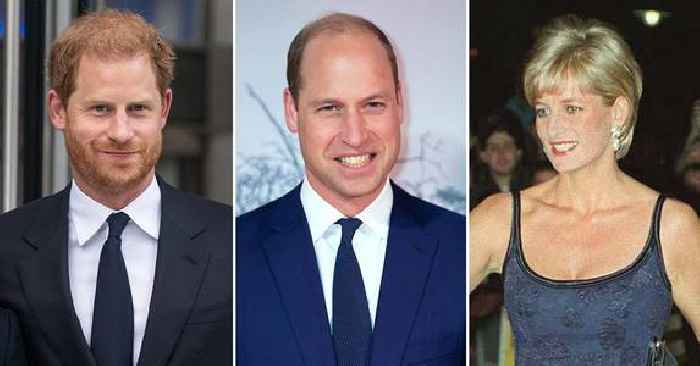 Prince Harry Insists Princess Diana Would've Prevented His Fallout With Prince William If She Was Still Alive