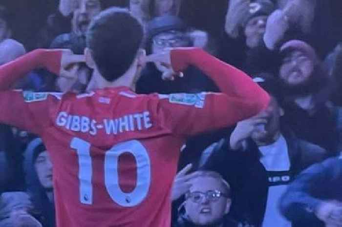 Morgan Gibbs-White leaves Wolves fans seething with 'outstanding s***housery' for Forest