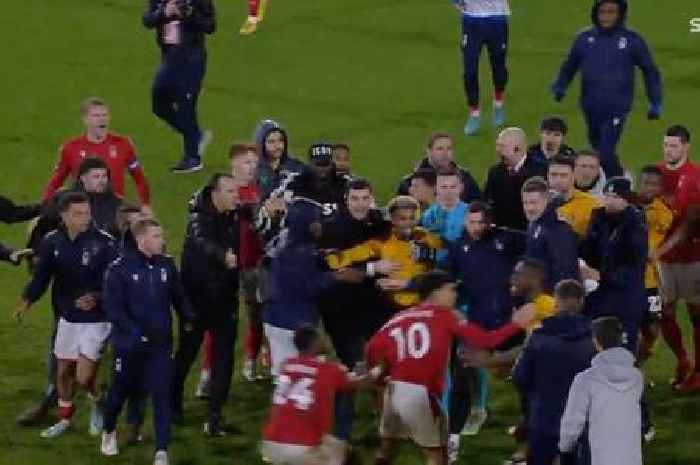 Wolves and Nottingham Forest players involved in colossal brawl as stars see red