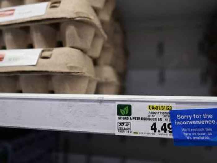 Why egg prices keep going up while inflation is going One News Page