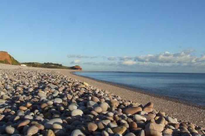 Idyllic South West seaside town surging in popularity as families rush to snap up homes