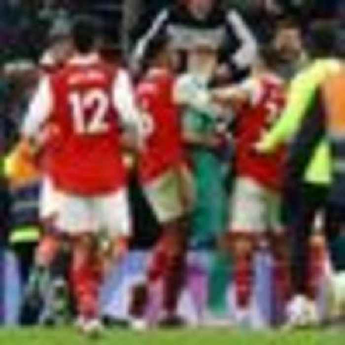 FA condemns fan's attack on Arsenal goalkeeper after Spurs game