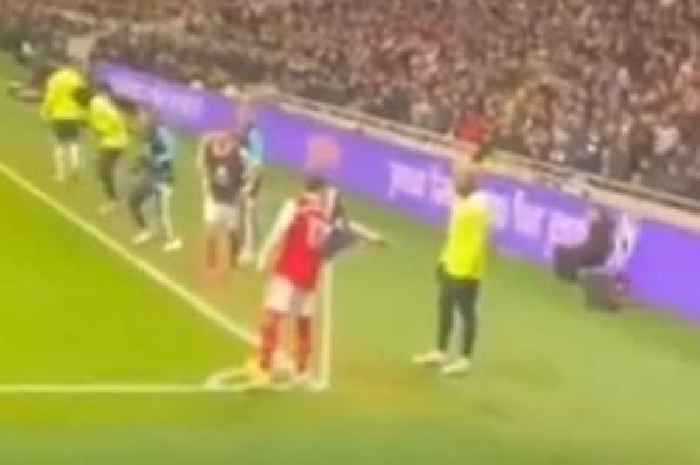 Arsenal fans brand Richarlison 'sore loser' after Spurs striker rejects Brazil team-mate