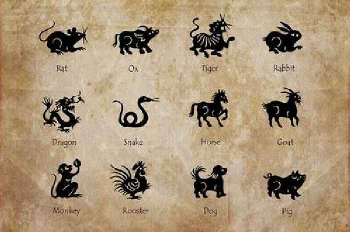 Find out your Chinese Zodiac sign with this gadget