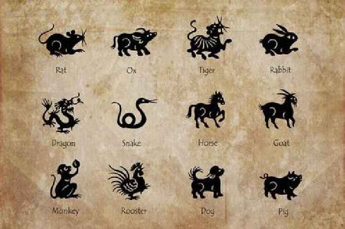 Find out your Chinese Zodiac sign with this handy gadget