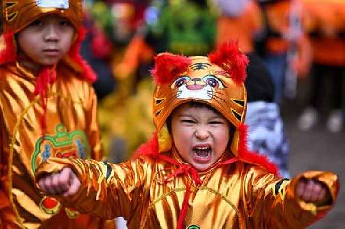 Chinese New Year: Which Chinese Zodiac sign are you?