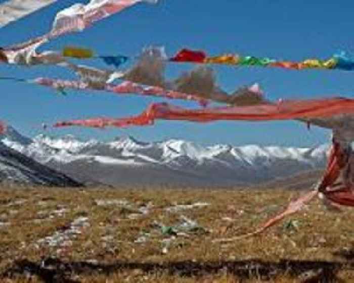 At least eight dead in Tibet avalanche; as cold snap kills 70 in Afghanistan
