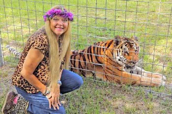 Tiger King star Carole Baskin says ex-husband is 'alive and well' and no one noticed