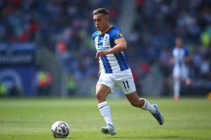 Why Arsenal weren't worried about Leandro Trossard's attitude following Brighton falling out