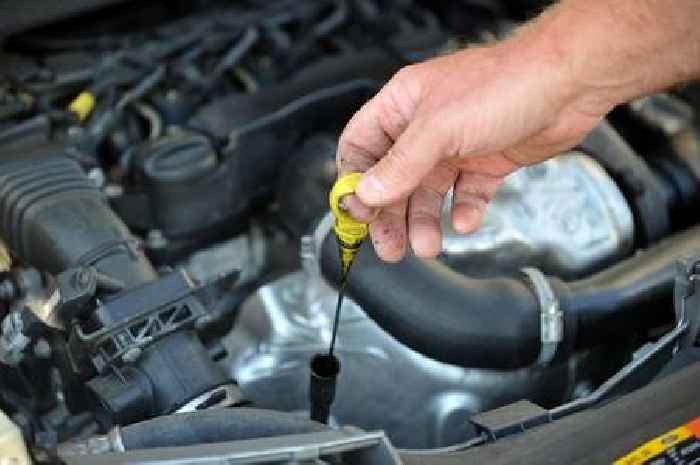 Should drivers be allowed to MOT their vehicle every two years - rather than annually?