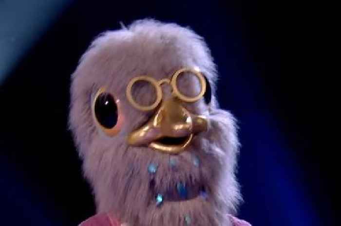 Masked Singer's Pigeon's identity 'solved' by fans after telling accent clue