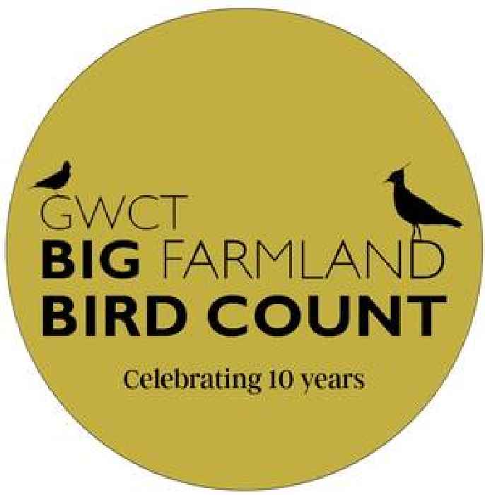  Let’s “shout about all the good work done on farms”, says GWCT Big Farmland Bird Count founder