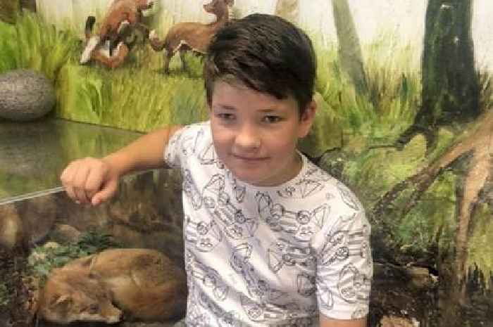 Scott-Swaley Stevens: Inquest hears 12-year-old Clacton boy died from asphyxiation after wall collapsed