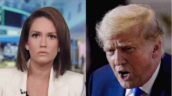 Trump Launches Sexist Attack On Fox News Host Jessica Tarlov in Random Late-Night ‘REVIEW’ of ‘The Five’