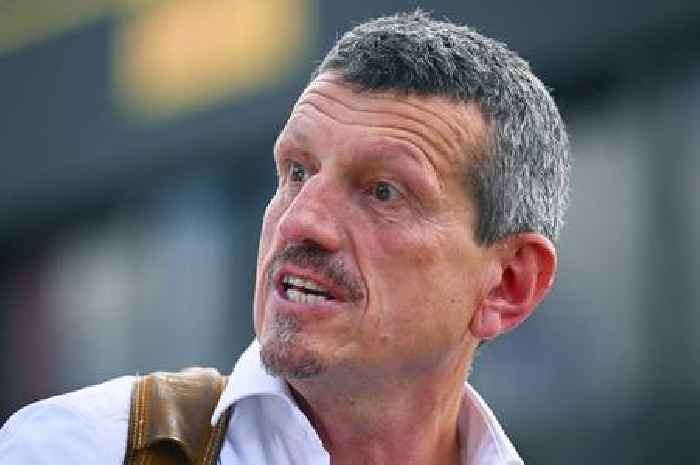 Foul-mouthed F1 boss Guenther Steiner learned English 'in the pub' after ditching lessons