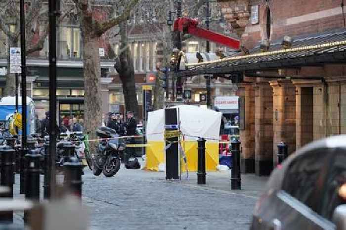 Man dies after being crushed by a telescopic urinal in central London