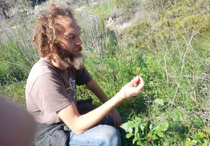 Tu Bishvat and food for free: Meet the foragers of Israel's countryside