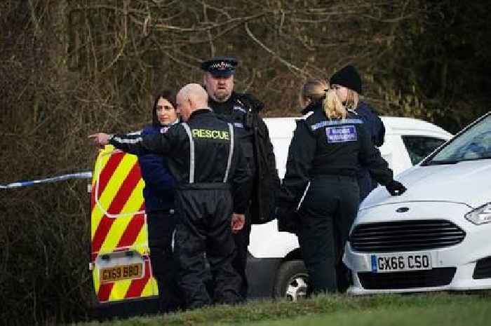 Dog walker killed when animals turned on her like 'wolves' died from 'multiple bites to neck'